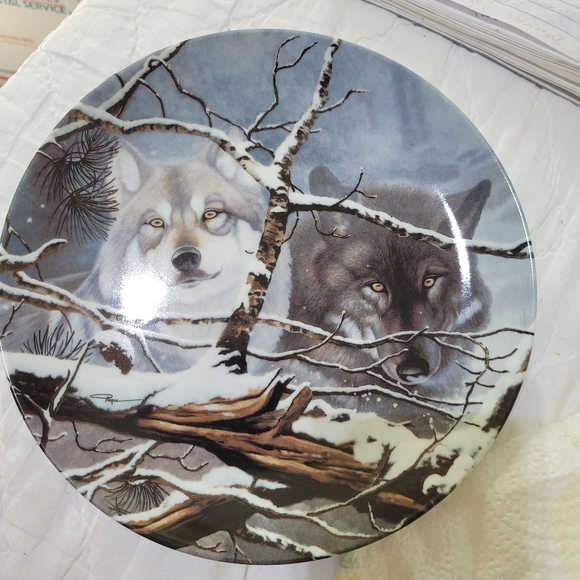 (3626)W J George-Collector Plate-Eyes Of The Wild-Eyes Of The Mist by Renn Pierc - Picture 1 of 3